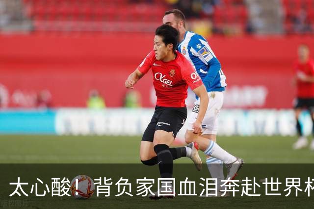 太心酸！背负家国血泪奔赴世界杯，伊朗男足踢出独属于自己的尊严
